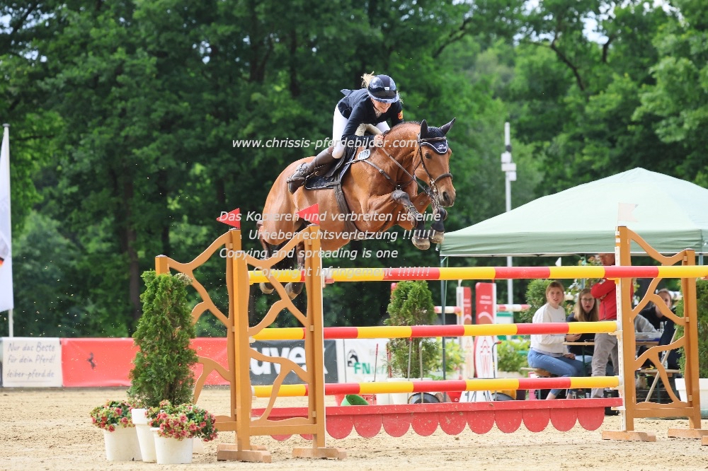 Preview marie dullweber mit narnia s beste IMG_1896.jpg